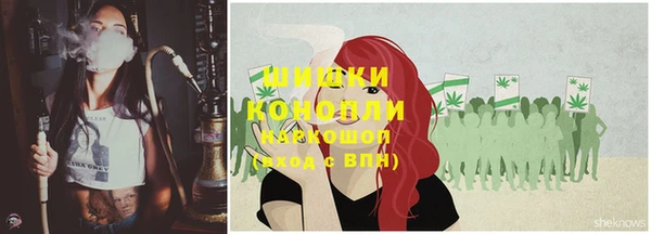 хмурый Абаза