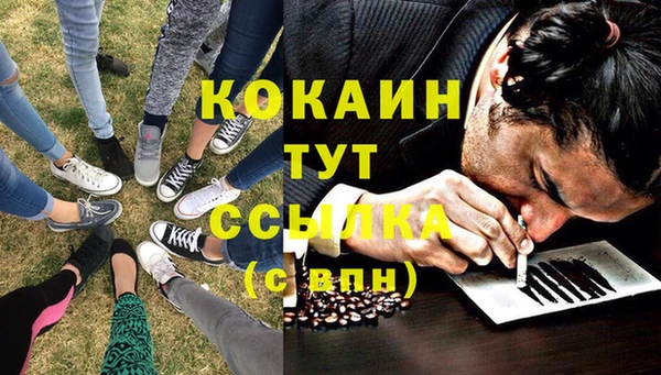 таблы Няндома