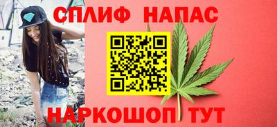 трава Гатчина