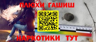 трава Гатчина